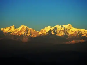 Thani mai/Purankot