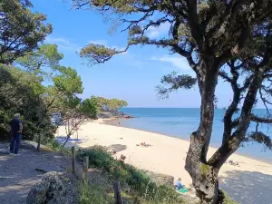 Plage des Sableaux