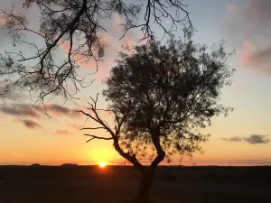 San Angelo State Park