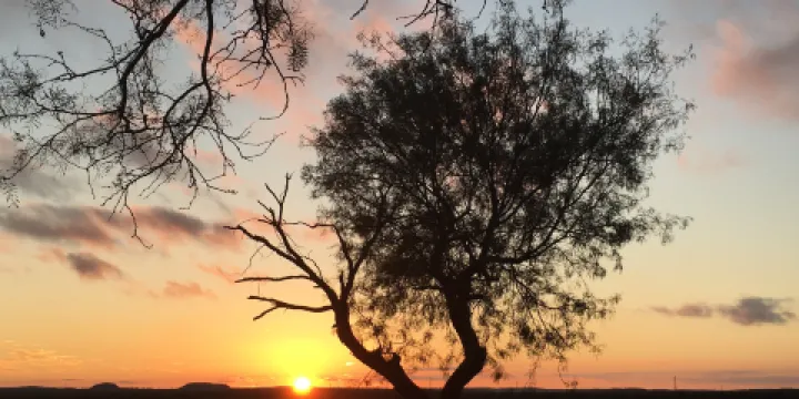 San Angelo State Park