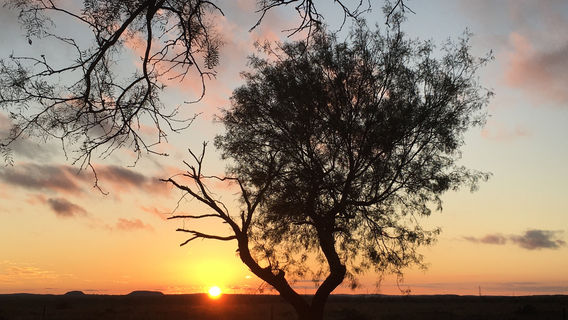 San Angelo State Park