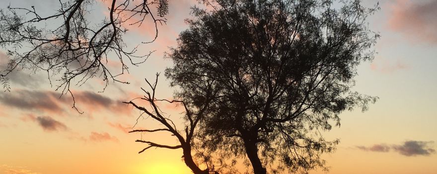 San Angelo State Park