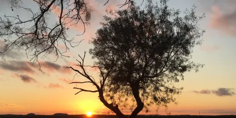 San Angelo State Park