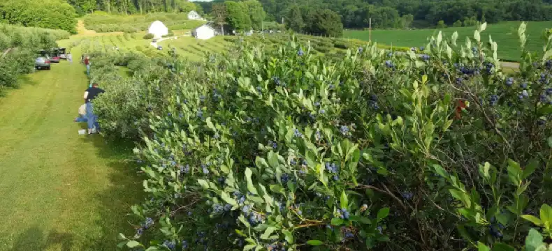 โรงแรมในJackson County