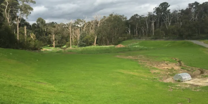 Old Joes Creek Reserve