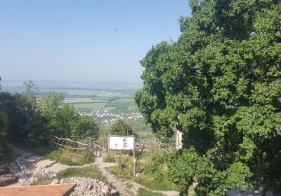 Kaluža