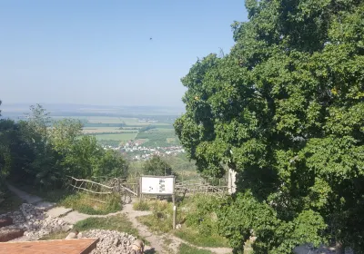 Kaluža