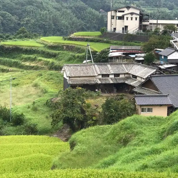 Hotel in zona Uchinari Rice Terrace
