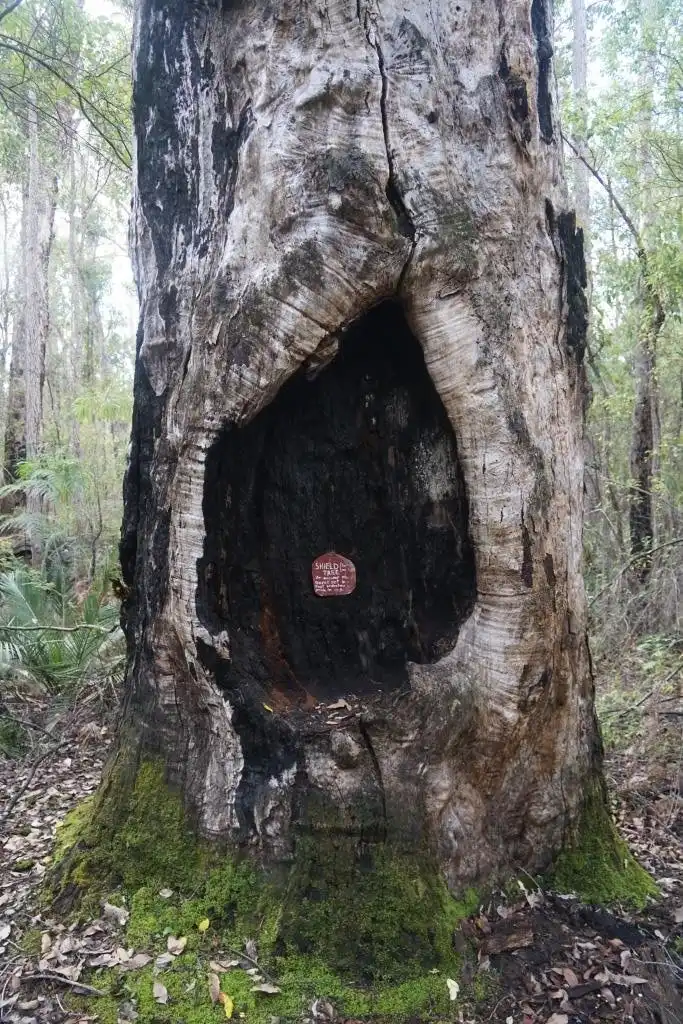 Dalgarup National Park附近的飯店
