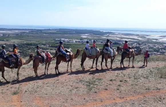 巴拉呂克萊弗約