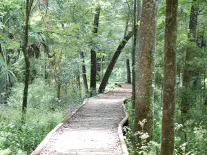 Goethe State Forest