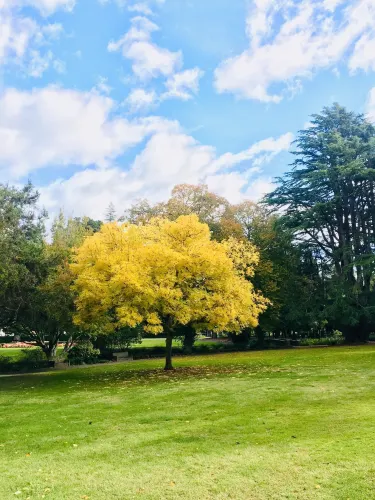 ヘイスティングズ