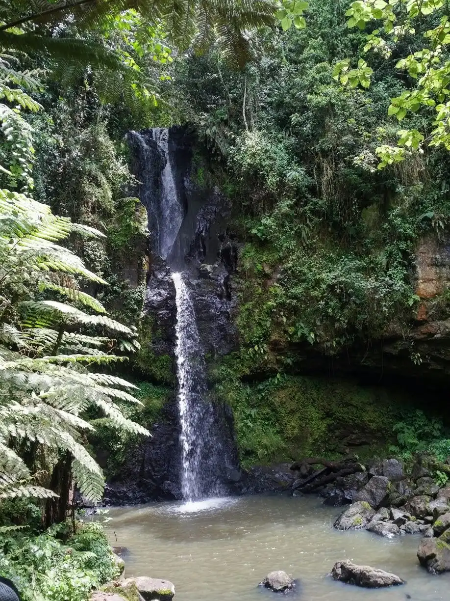 Hotels near Kereita Forest