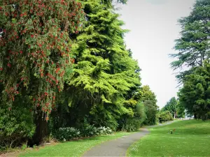 Te Awamutu Rose Garden
