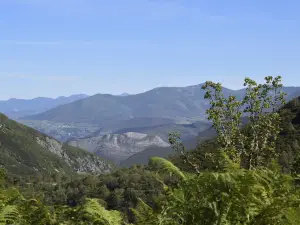 Mirador de Muniellos