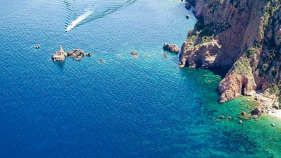 Calvi Promenade en Mer