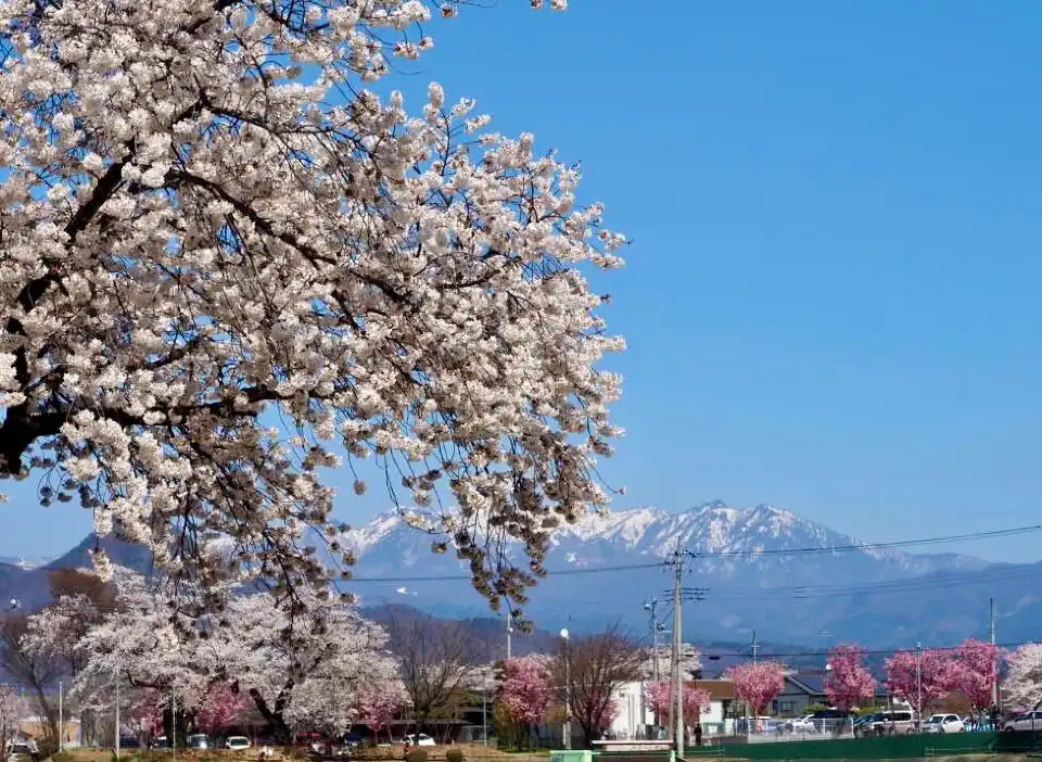 2_Numata Park