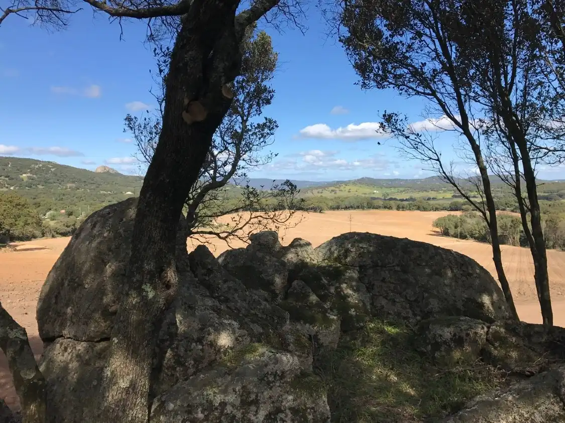 Hotel in zona Cantina Murales | Enoturismo in Gallura