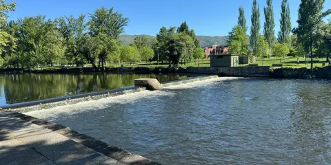 Aquae Flaviae Roman Baths