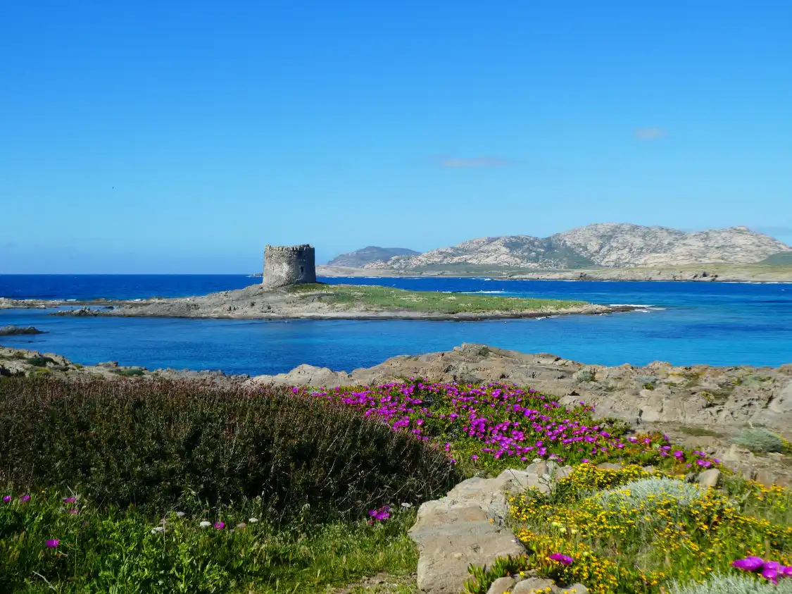 Hotels near Torre della Pelosa
