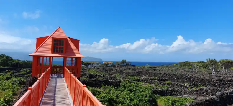 Hotels in Pico Island