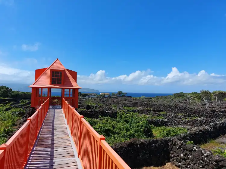 Hotels in Pico Island