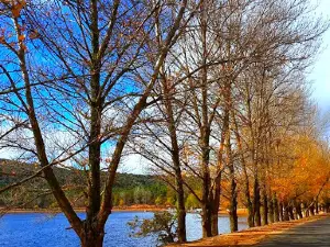 Park Ras Elma