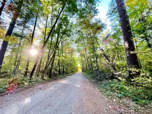 Lost 40 Scientific and Natural Area (SNA)