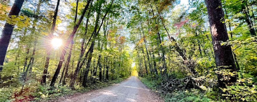 Lost 40 Scientific and Natural Area (SNA)