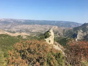 Milli Egemenlik Ormanı