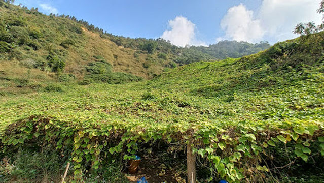 Adventure Bike Tour Vietnam