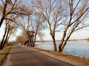 Wieża widokowa