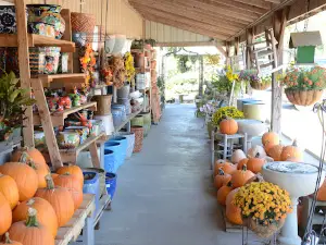 Harvest Feed Mill