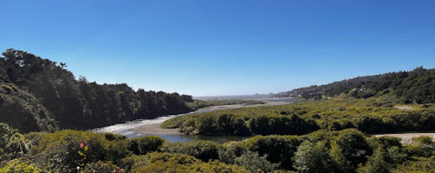 Gualala Bluff Trail