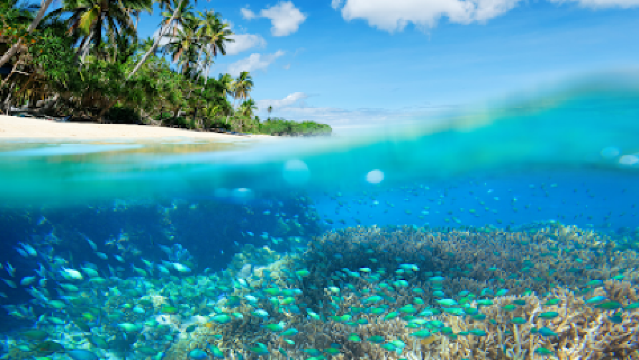 Punta Cana Travel Club