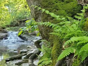 McCormick’s Creek Canyon Falls