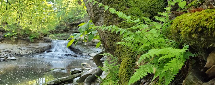 McCormick’s Creek Canyon Falls