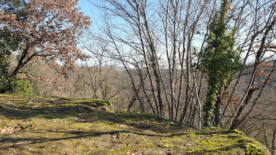 Necropoli della Petrina