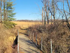 Four Lakes Forest Preserve