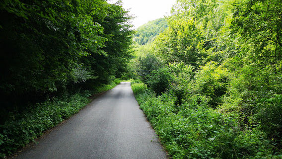 Under the Splashes of the Waterfall - Ecotrail