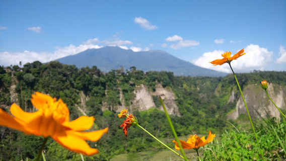 Bukittinggi