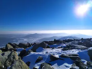 Мустаг