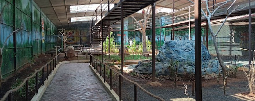 Exotic Birds Park