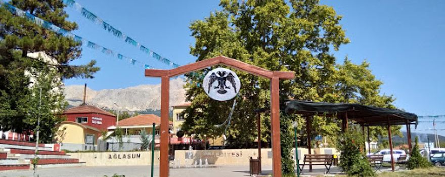 Ağlasun tarihi çınar