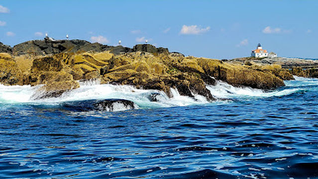 Lulu Lobster Boat Ride