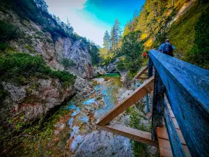 Naturpark Ötscher-Tormäuer