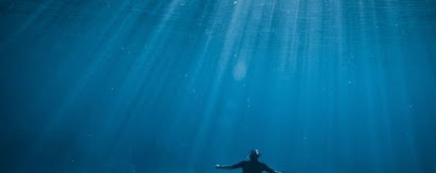 Killer Whale Aquatics Swimming Club, Aquacise Centre and Aqua rehab