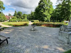 Ķirzaciņa, Baldones sēravots