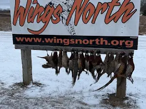 Wings North