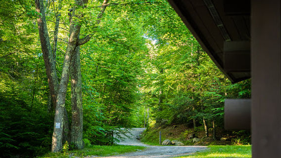 George Washington State Campground and Management Area